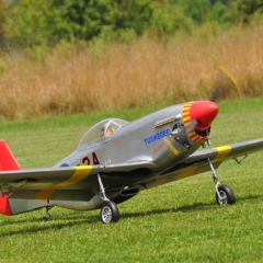 mustangtaxi