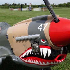 p40warhawk